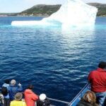 Newfoundland Puffin and Whale Watch Cruise - The Sum Up