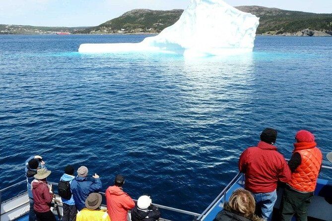 Newfoundland Puffin and Whale Watch Cruise - The Sum Up