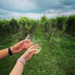 Niagara: A Twilight Wine Adventure With 3-Course Dinner - Who Is This Tour Best For?