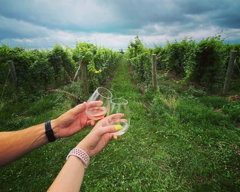 Niagara: A Twilight Wine Adventure With 3-Course Dinner - Who Is This Tour Best For?