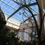 Niagara Falls, Canada: Bird Kingdom Entry Ticket - The Walkthrough: What to Expect