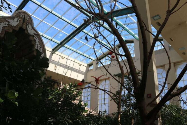 Niagara Falls, Canada: Bird Kingdom Entry Ticket - The Walkthrough: What to Expect