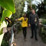 Niagara Falls, Canada: Butterfly Conservatory Admission - Is It Worth the Price?