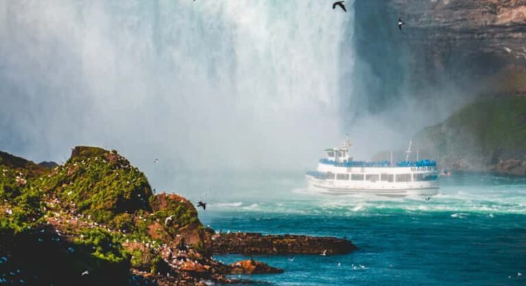 Niagara Falls Canada & USA: Small Group Deluxe Tour - What the Reviews Say