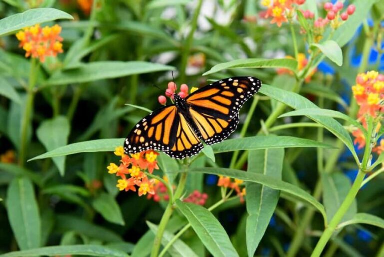 Niagara Falls, Canada: Winter Wonder Tour - What the Reviews Say