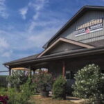 Niagara Falls: Public Niagara Wine Tour with Transportation - Who Will Love This Tour?