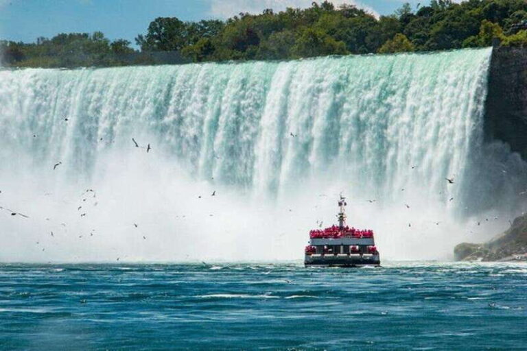 Niagara Falls Tour from Niagara Falls, Canada - Who Should Consider This Tour?