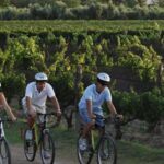 Niagara-on-the-Lake: Bicycle Tour with Wine Tasting - The Experience and Value