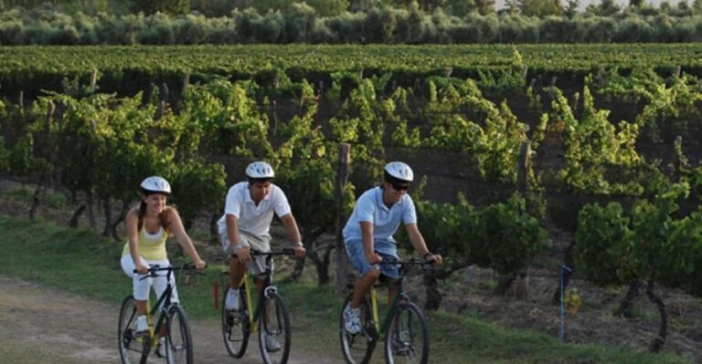 Niagara-on-the-Lake: Bicycle Tour with Wine Tasting - The Experience and Value