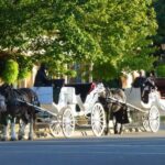 Niagara-on-the-Lake: Guided Vehicle Tour(The Prettiest Town) - Who Is This Tour Best For?