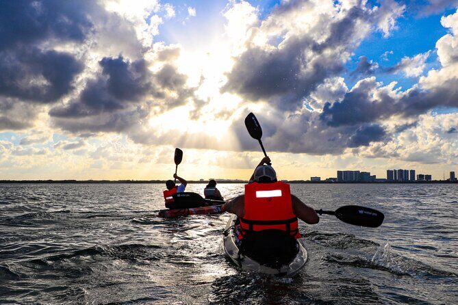 Nichupte Lagoon! Mangrove Kayaking Experience from Cancun - Detailed Breakdown of the Itinerary