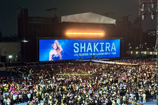 Night of VIP Concert in Mexico City with Private Transfer - Who Should Consider This Experience?