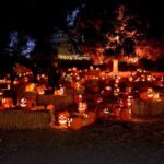 Nightfall - Is It Worth the Price?