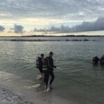 No Experience Required to Discover Scuba in Florida - The Sum Up