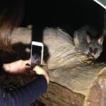 Nocturnal Wildlife Tour from Busselton - The Value of This Experience