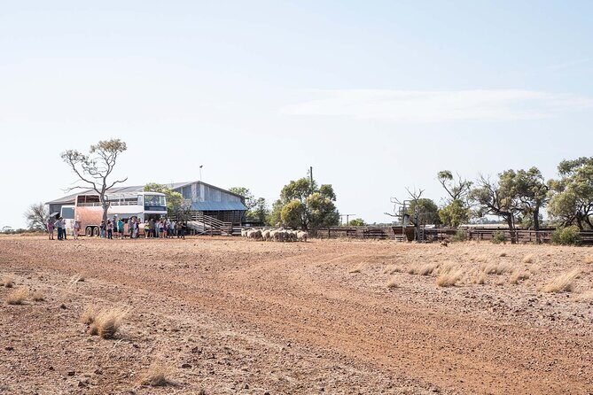 Nogo Station Experience - What Makes This Tour Stand Out?