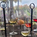 NON BUS FALL COLORS Traverse City Old Mission Wine Tour - Who Will Love This Tour?