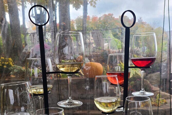 NON BUS FALL COLORS Traverse City Old Mission Wine Tour - Who Will Love This Tour?