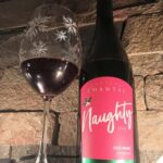 NON BUS GIRLS TRIP Traverse City Old Mission Wine Tour - What Makes this Tour Stand Out?