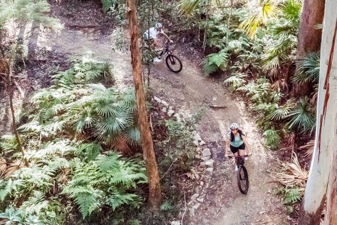 Noosa eMtn Bike Tour: Exploring a National Park on Fun MTB Trails - The Experience Through the Eyes of Others