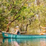Noosa: Everglades Explorer Cruise - The Experience in Practice: What Tourists Say