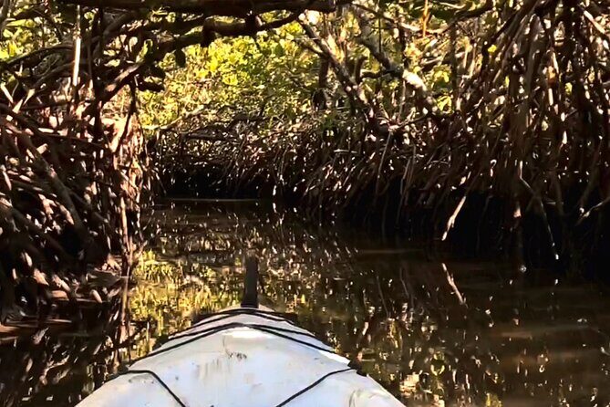 Noosa Heads: Epic Hidden Waterways & Wildlife Kayak Tour - The Sum Up