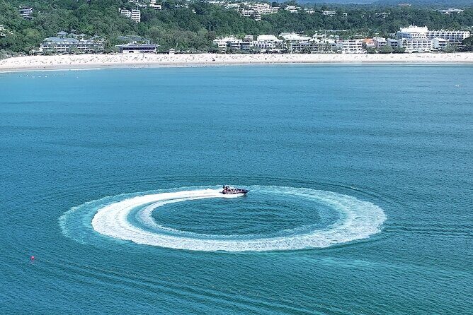 Noosa Ocean Adventures: Dolphins - What to Expect During the Tour