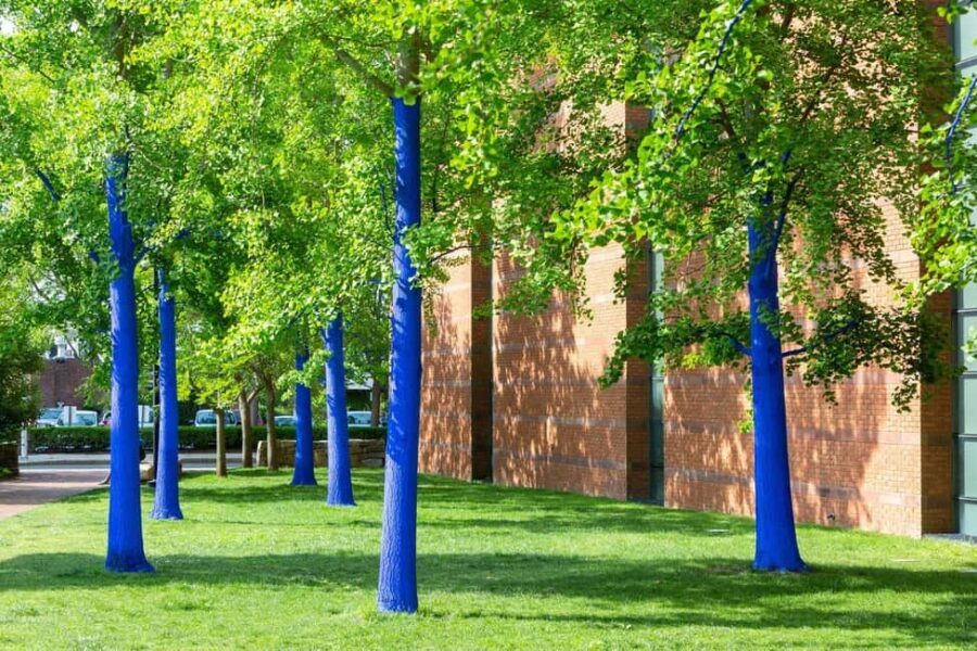 North Chelmsford: The Salem Witch Museum & Memorial Tour - The Sum Up