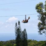 North Maui: 7 Line Zipline Adventure with Ocean Views - The Experience in Detail