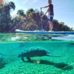 North Miami: Nature & Island Exploration on SUP/Kayak - The Itinerary Breakdown