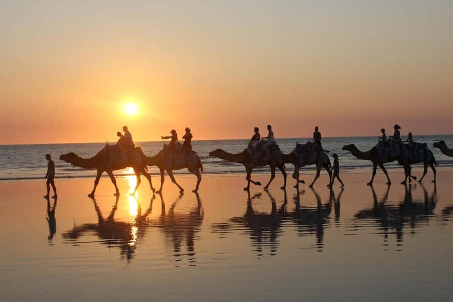 North of Rocks on Cable Beach: 1-Hour Sunset Camel Ride - The Camel Ride Itself