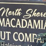 North Shore Foodie Fun: Eat, Explore, Enjoy (Incl. Dole) - The Practical Side: Logistics and Value