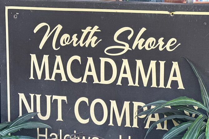 North Shore Foodie Fun: Eat, Explore, Enjoy (Incl. Dole) - The Practical Side: Logistics and Value