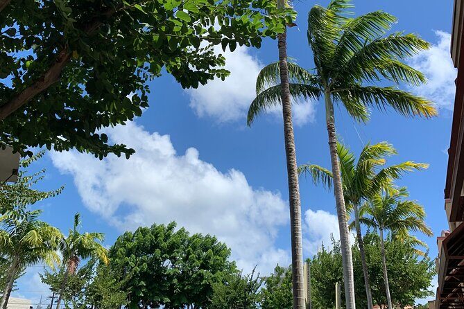 North Shore Highlight Tour - Why This Tour Works Well