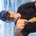 North Shore Tour Guide Shoreline Fishing - Final Thoughts