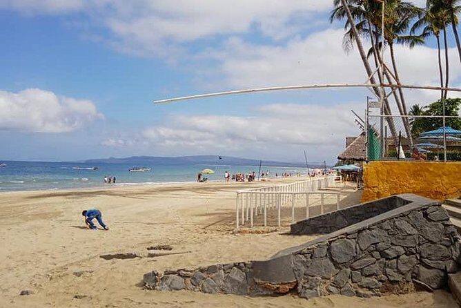 North Shore Tour - What Makes This Tour Stand Out