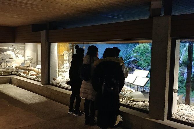 North Vancouver Discovery Private Tour - What It Means for You