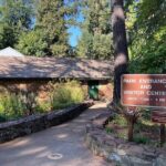 Northern California: Self-Guided Gold Rush Towns Driving Tour - Final Thoughts