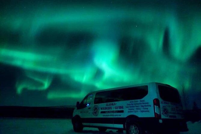 Northern Lights Viewing at Murphy Dome - Insights from Travelers