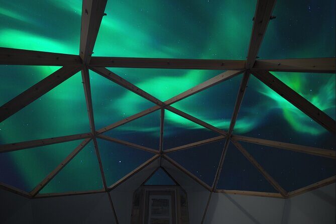 Northern Lights Viewing in a Semi-Private Dome in Whitehorse - Wildlife Museum: A Must-See Stop