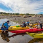 Nova Scotia: Guided Half-Day LaHave Islands Sea Kayak Tour - The Itinerary: What’s Included and What to Expect