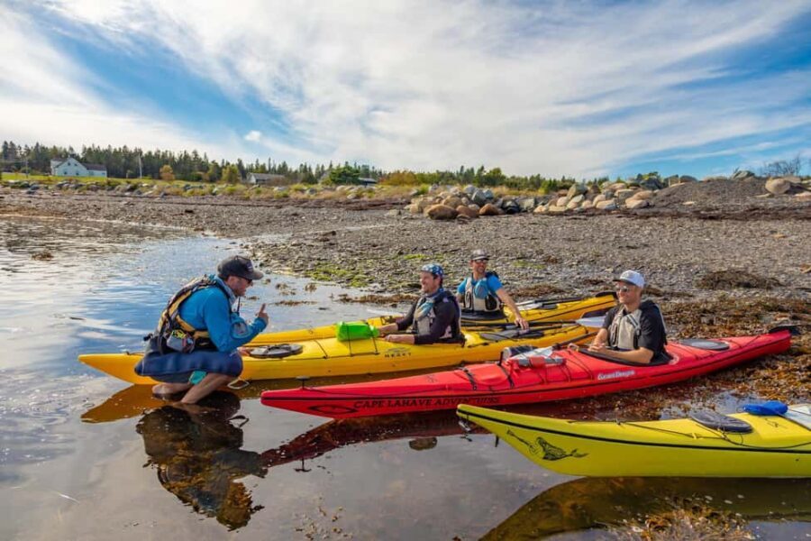 Nova Scotia: Guided Half-Day LaHave Islands Sea Kayak Tour - The Itinerary: What’s Included and What to Expect