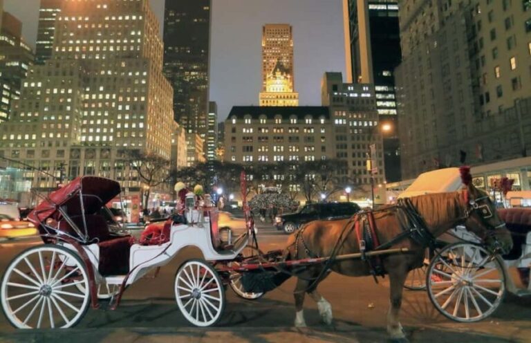 NYC : Central Park by Night: Horse-Drawn Carriage Ride - An In-Depth Look at the Central Park Horse-Drawn Carriage Ride