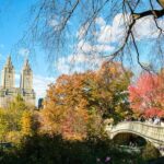 NYC: Central Park Elf & Home Alone Film Spots Pedicab Tour - The Sum Up