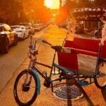 NYC Central Park guided Pedicab Tour - 1 hour - The Sum Up