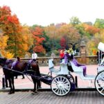 NYC Central Park Horse Carriage Ride (Up to 4 Adults) - Final Thoughts