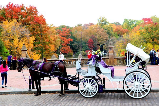 NYC Central Park Horse Carriage Ride (Up to 4 Adults) - Final Thoughts