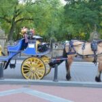 NYC: Central Park Horse-Drawn Carriage Ride - What to Expect from the Ride