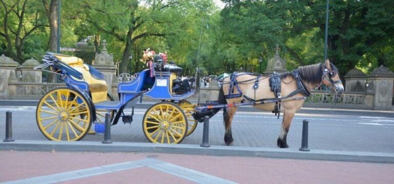 NYC: Central Park Horse-Drawn Carriage Ride - What to Expect from the Ride
