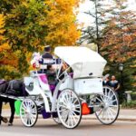 NYC: Central Park Horse-Drawn Carriage Ride (up to 4 Adults) - The Itinerary: Highlights of the Tour